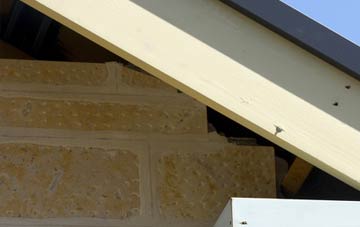 soffit repair Browhouses
