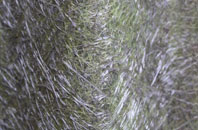 Browhouses fibreglass roof work