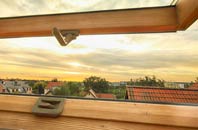 rated Browhouses roof window companies